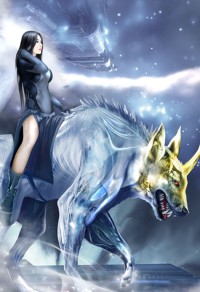 奉旨不婚
